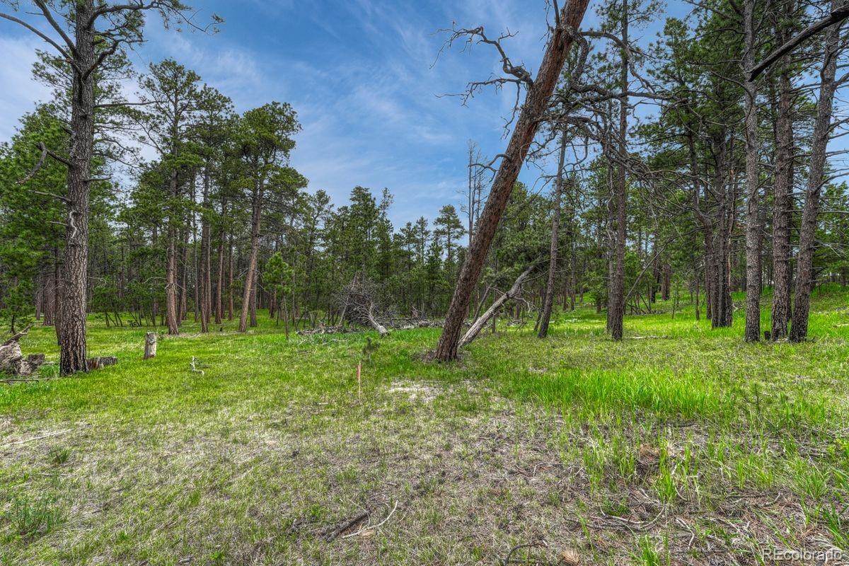 01 Wyandott Colorado Springs CO 80908