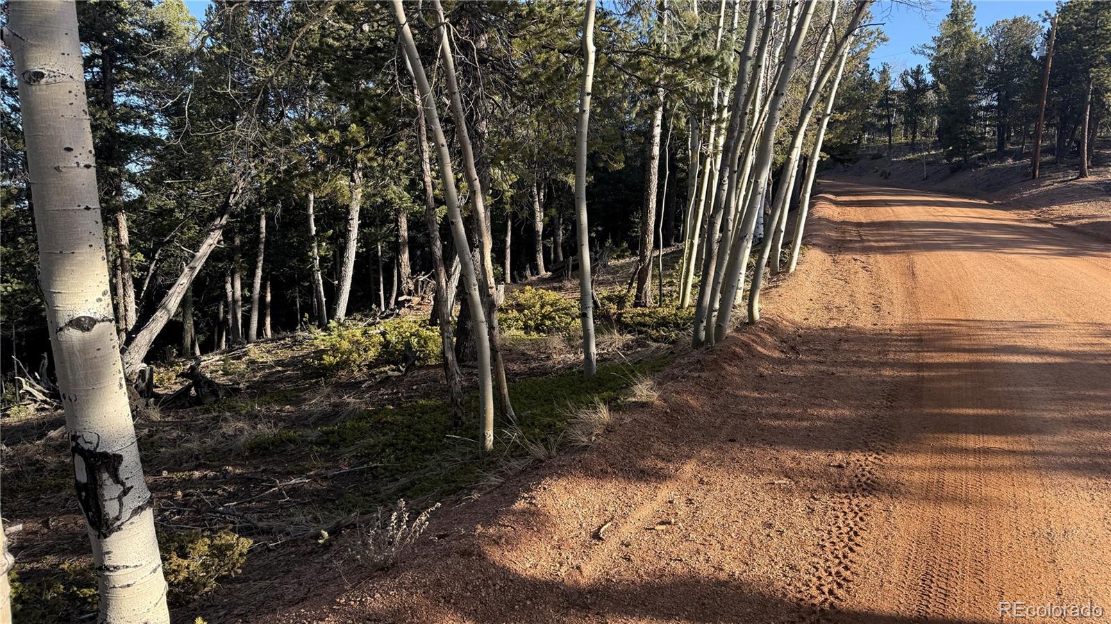 461 Paradiso Road Divide CO 80814