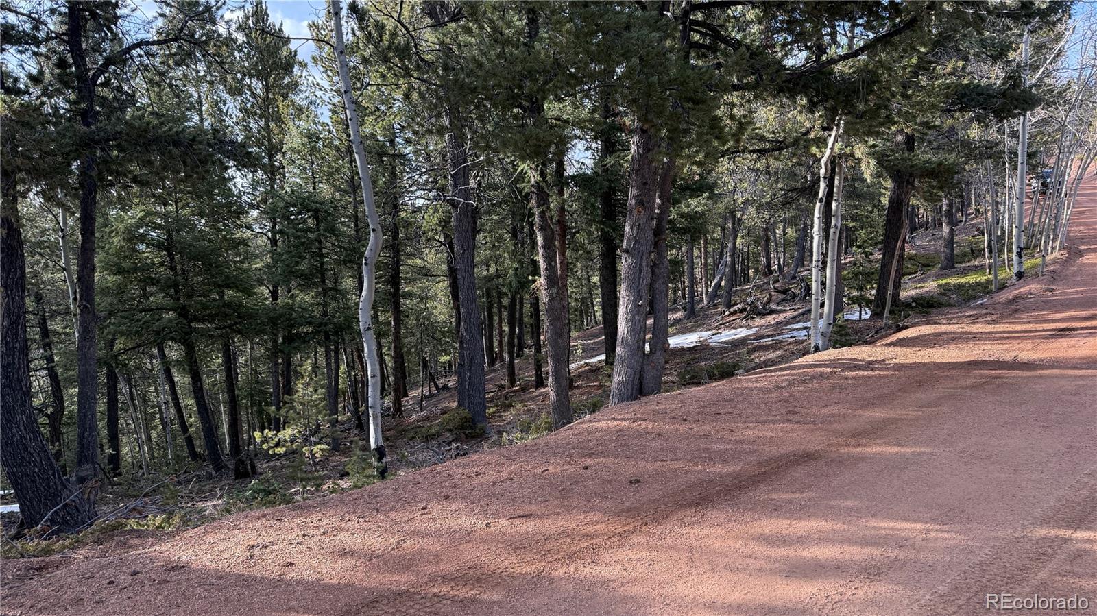 461 Paradiso Road Divide CO 80814