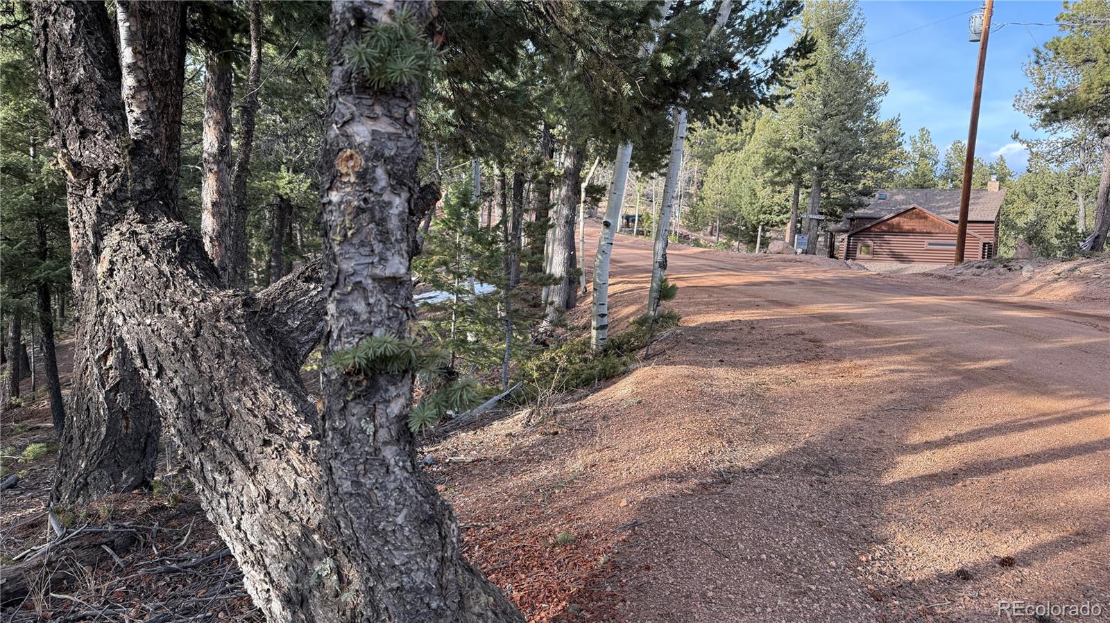 461 Paradiso Road Divide CO 80814