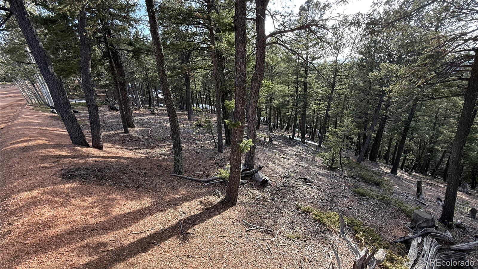 461 Paradiso Road Divide CO 80814