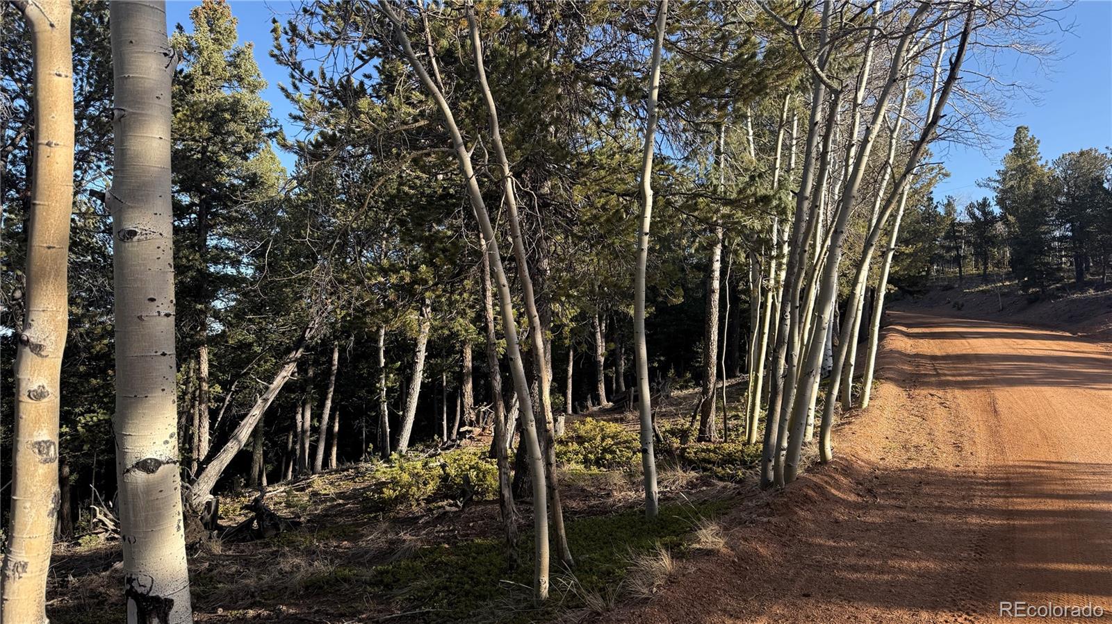 461 Paradiso Road Divide CO 80814