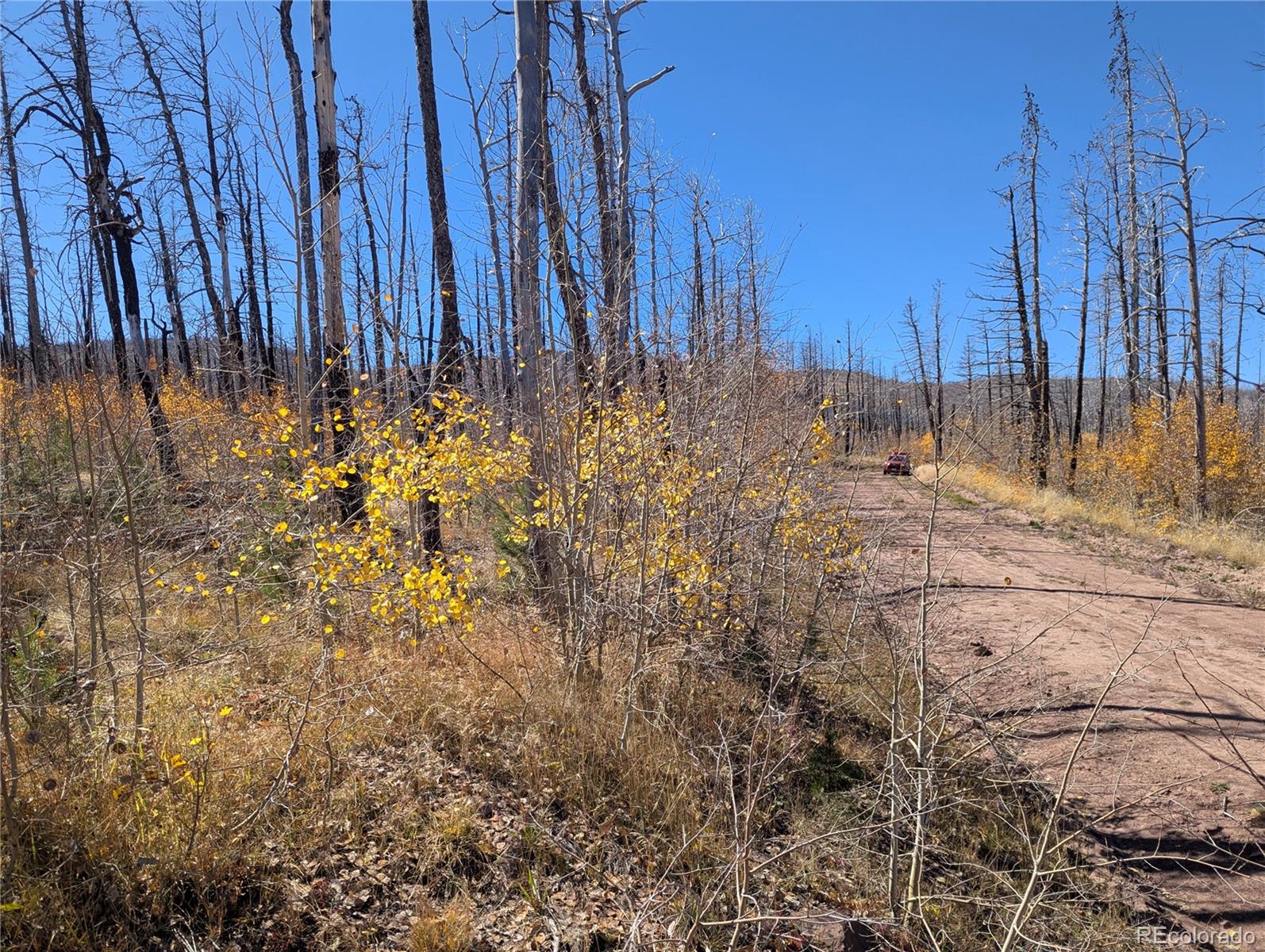 1708 Burgoyne Loop Fort Garland CO 81133