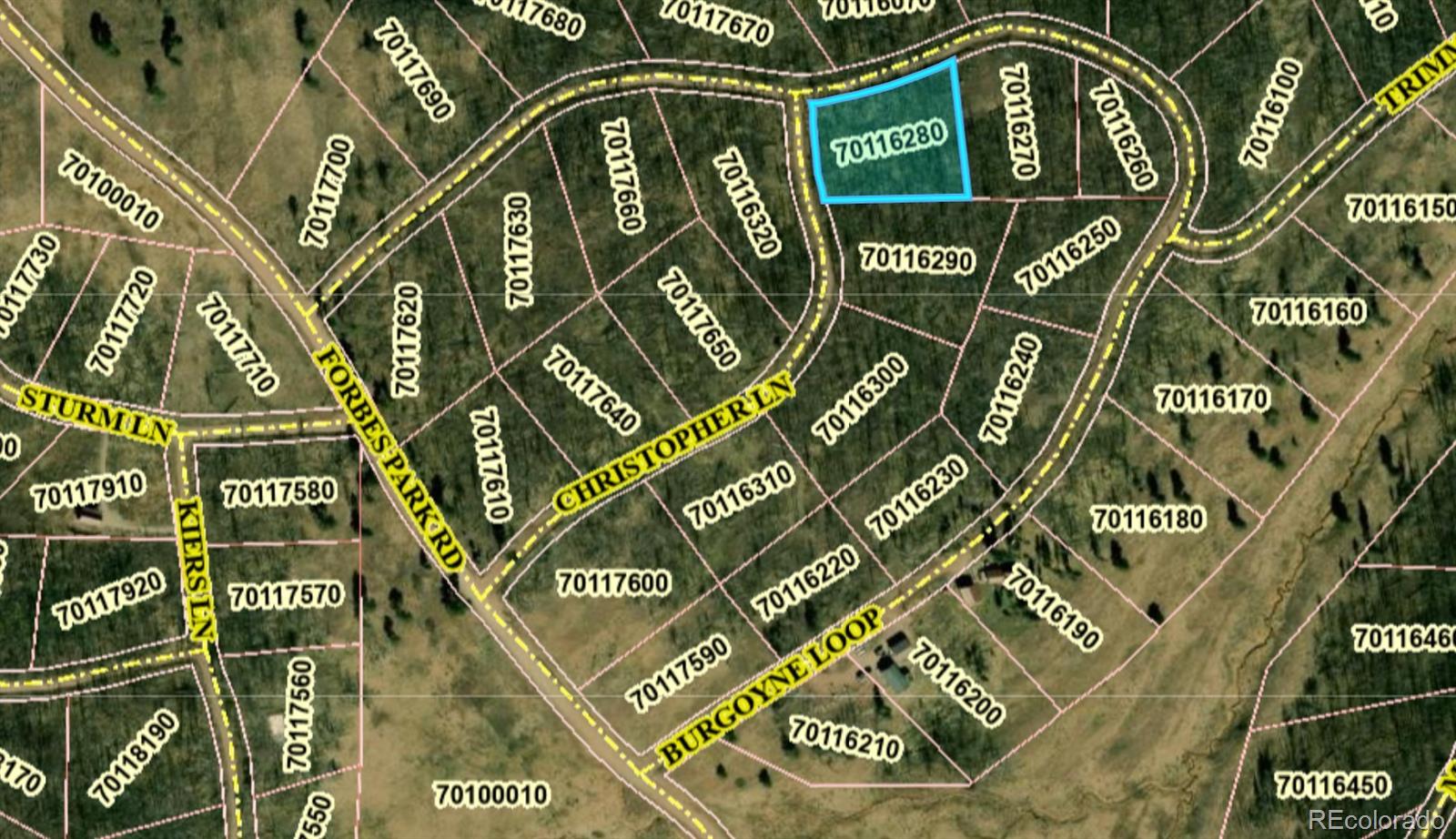 1708 Burgoyne Loop Fort Garland CO 81133