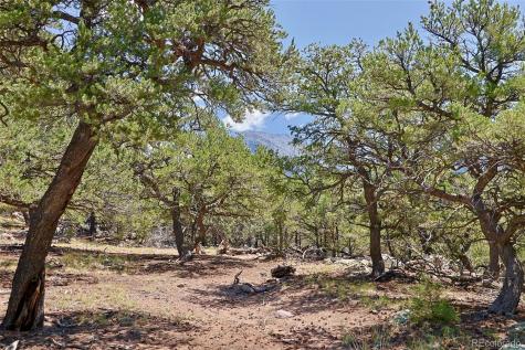 453 Arrowhead Way Crestone CO 81131