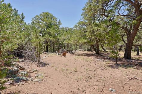 453 Arrowhead Way Crestone CO 81131