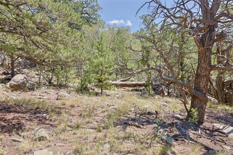 453 Arrowhead Way Crestone CO 81131