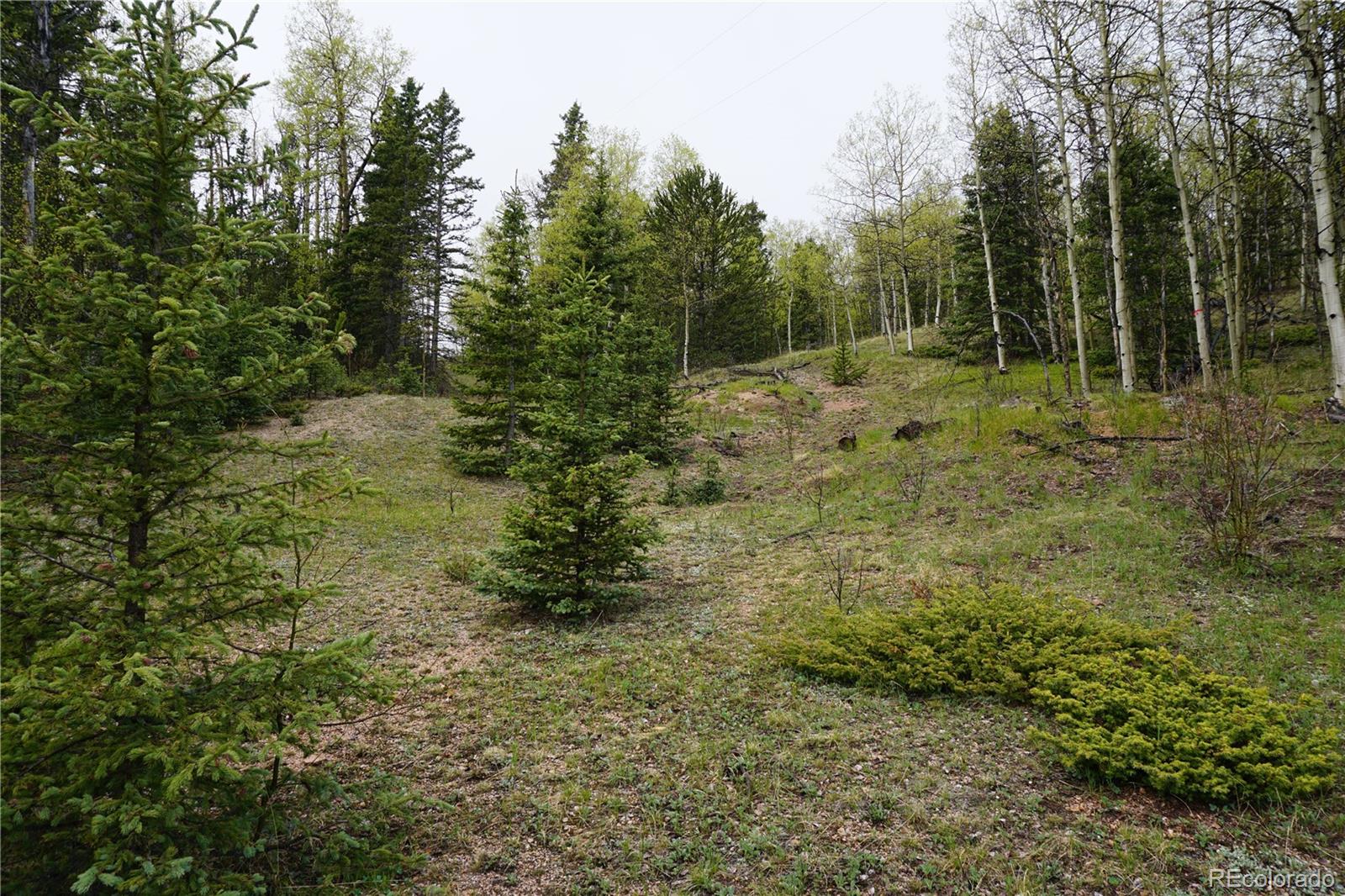 Vacant Land Cripple Creek CO 80813
