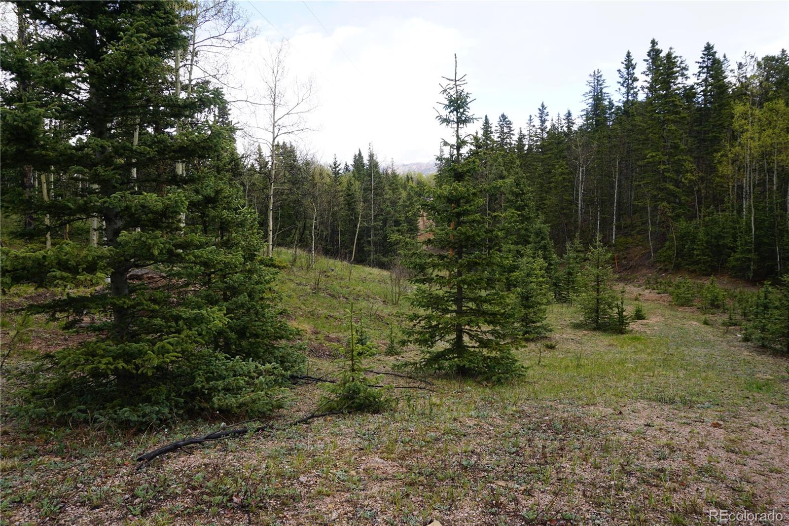 Vacant Land Cripple Creek CO 80813