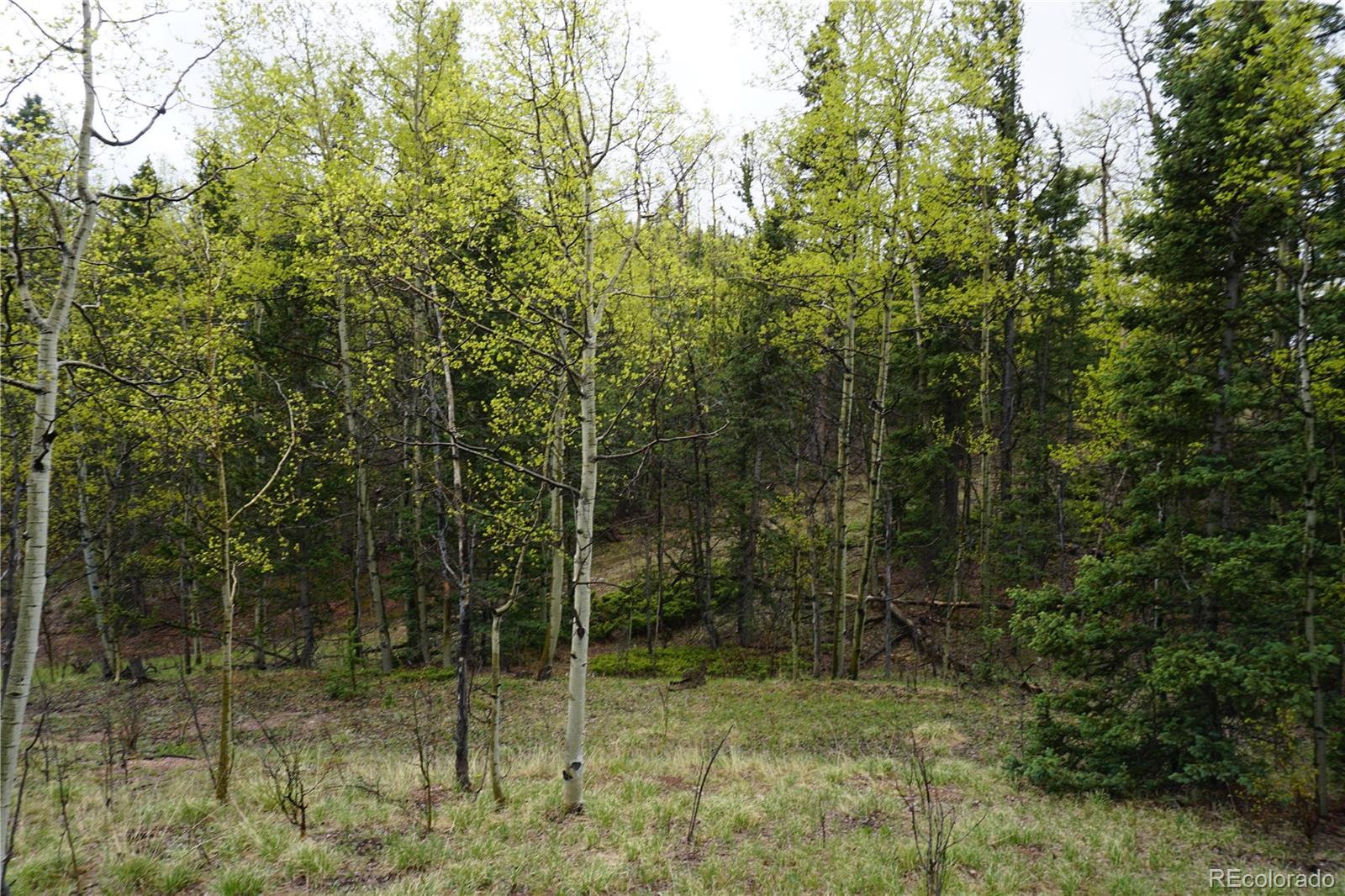 Vacant Land Cripple Creek CO 80813