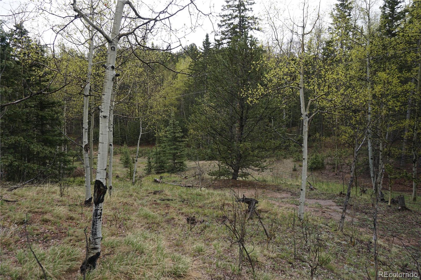 Vacant Land Cripple Creek CO 80813