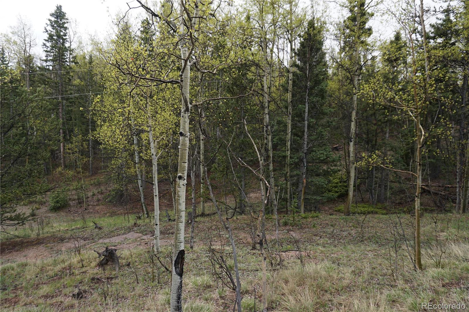 Vacant Land Cripple Creek CO 80813