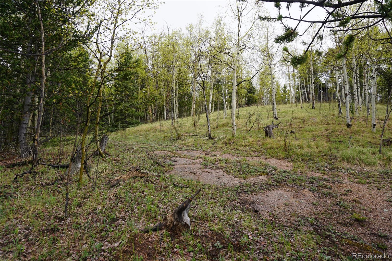 Vacant Land Cripple Creek CO 80813