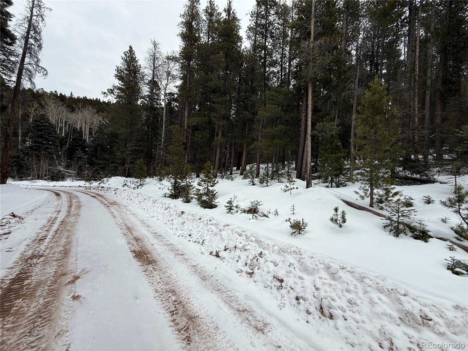 Lot 2805 Moir Drive Fort Garland CO 81133