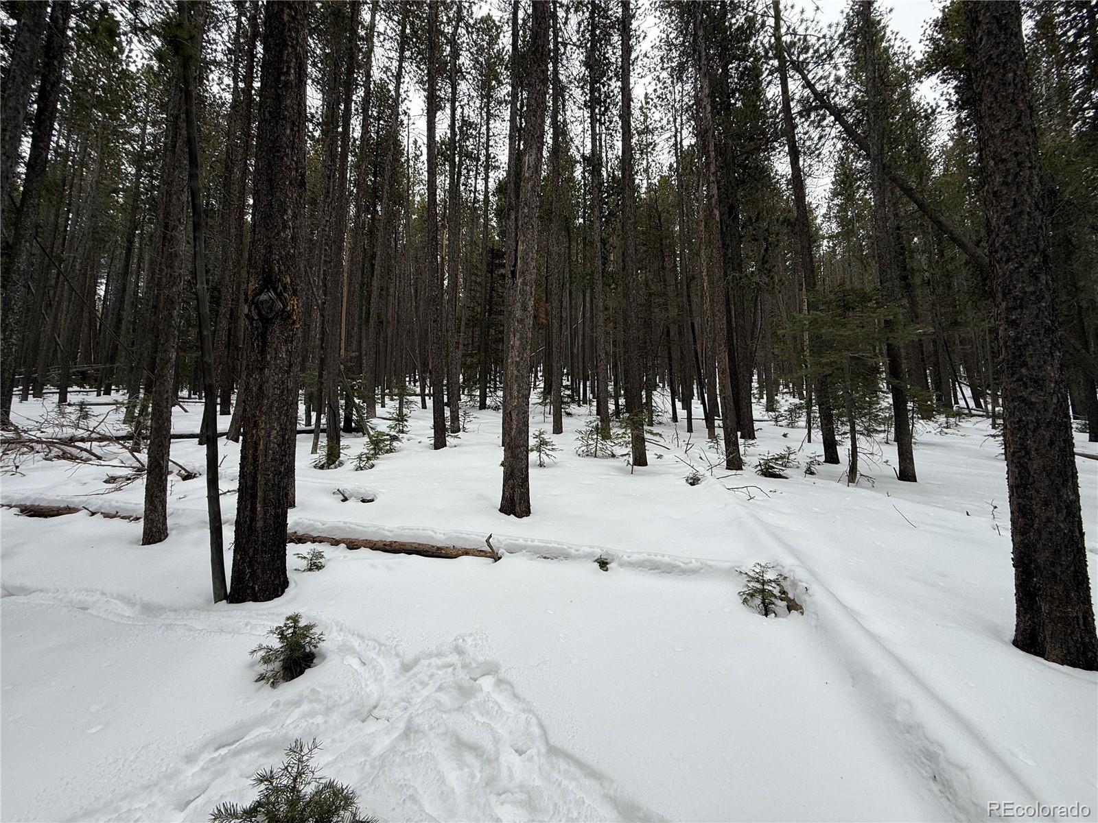 Lot 2805 Moir Drive Fort Garland CO 81133