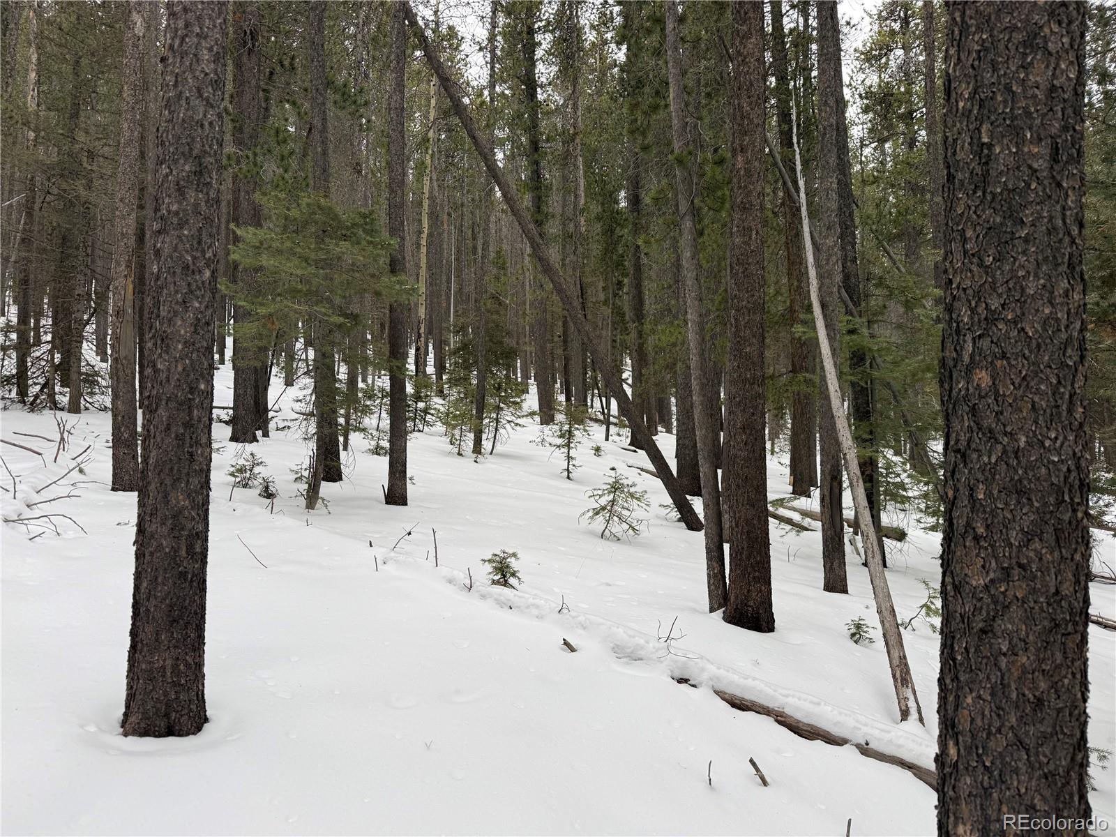 Lot 2805 Moir Drive Fort Garland CO 81133