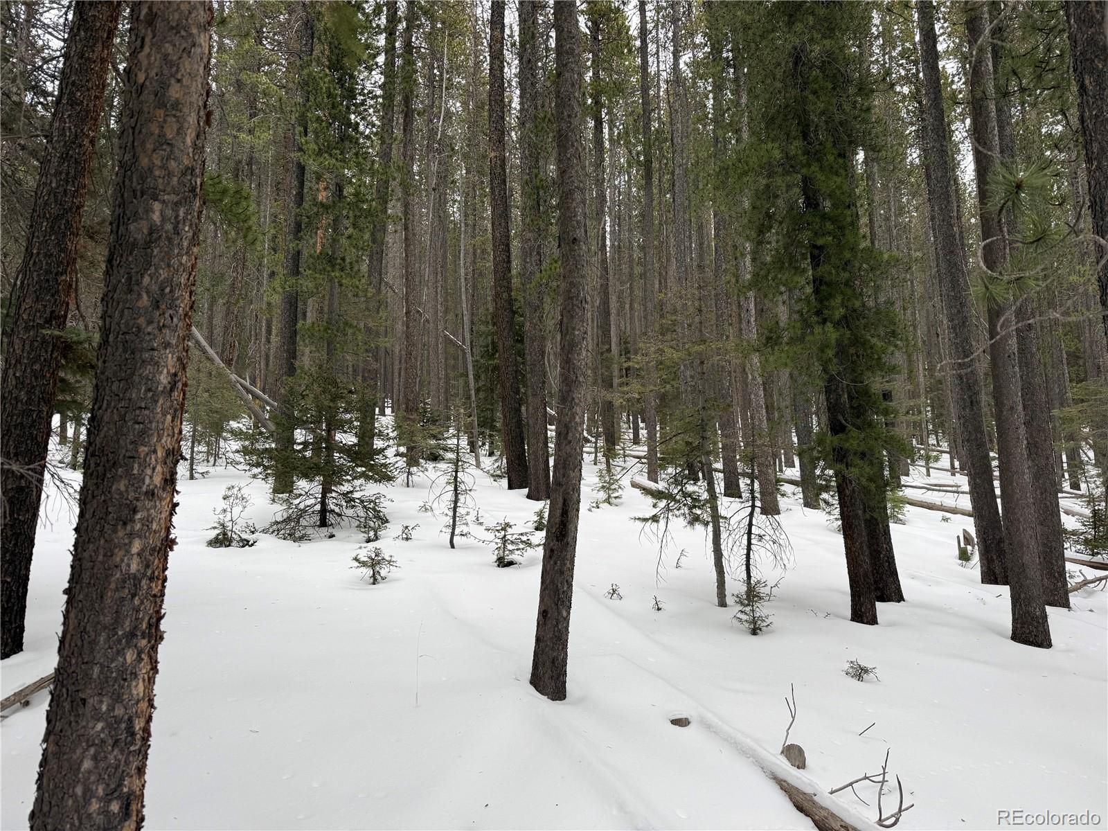 Lot 2805 Moir Drive Fort Garland CO 81133