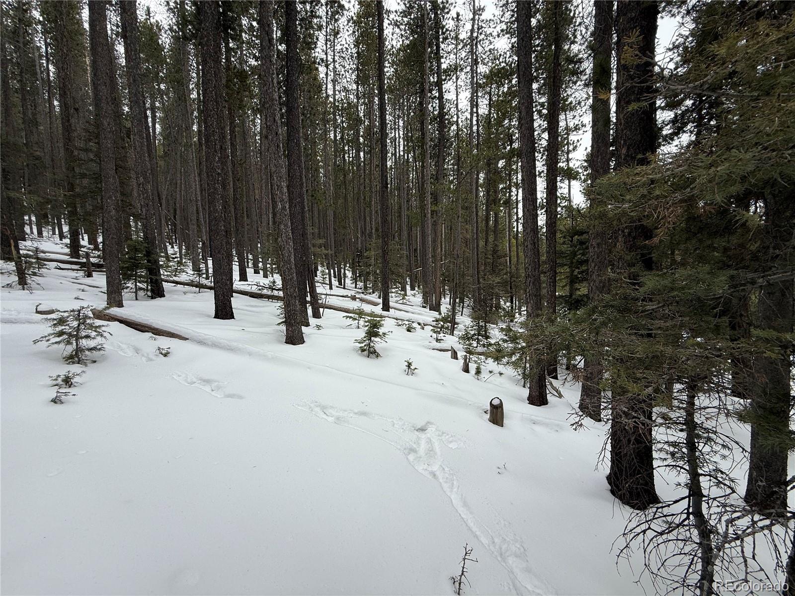 Lot 2805 Moir Drive Fort Garland CO 81133