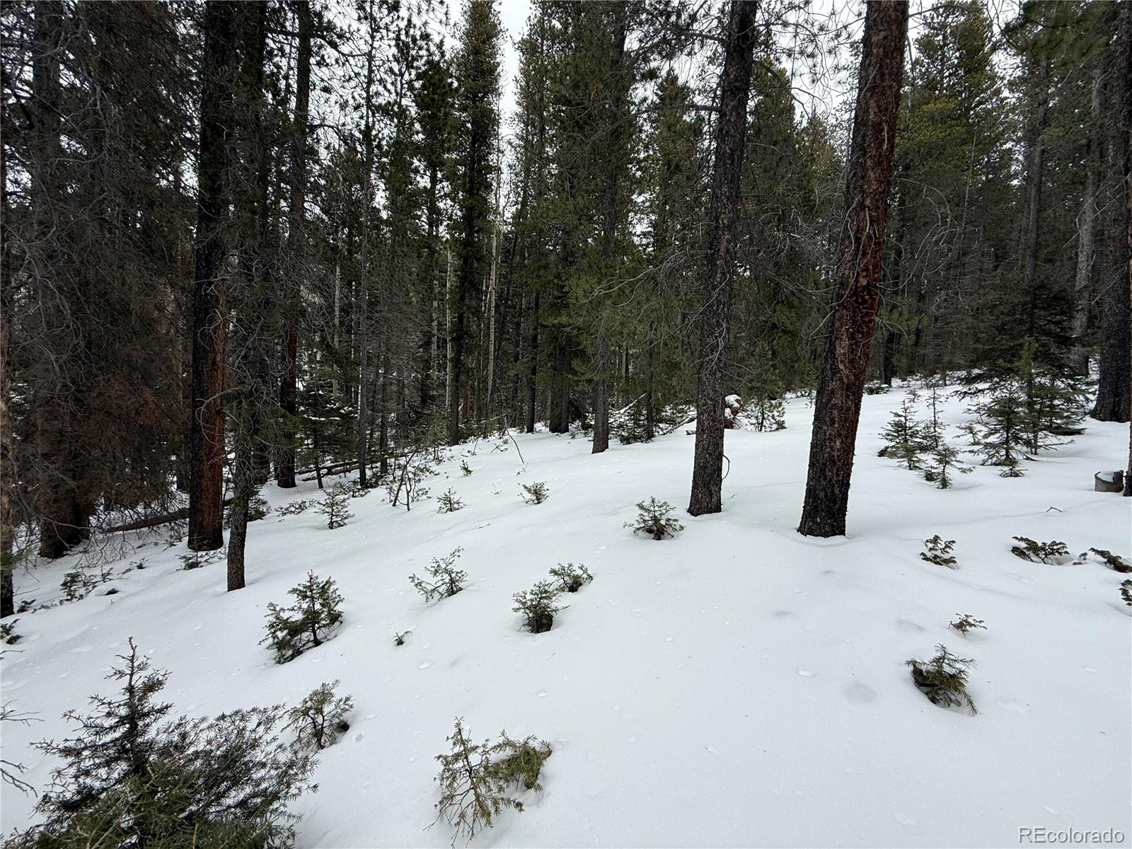 Lot 2805 Moir Drive Fort Garland CO 81133