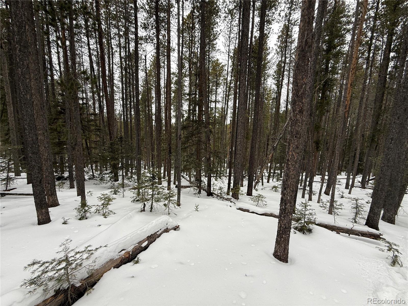 Lot 2805 Moir Drive Fort Garland CO 81133