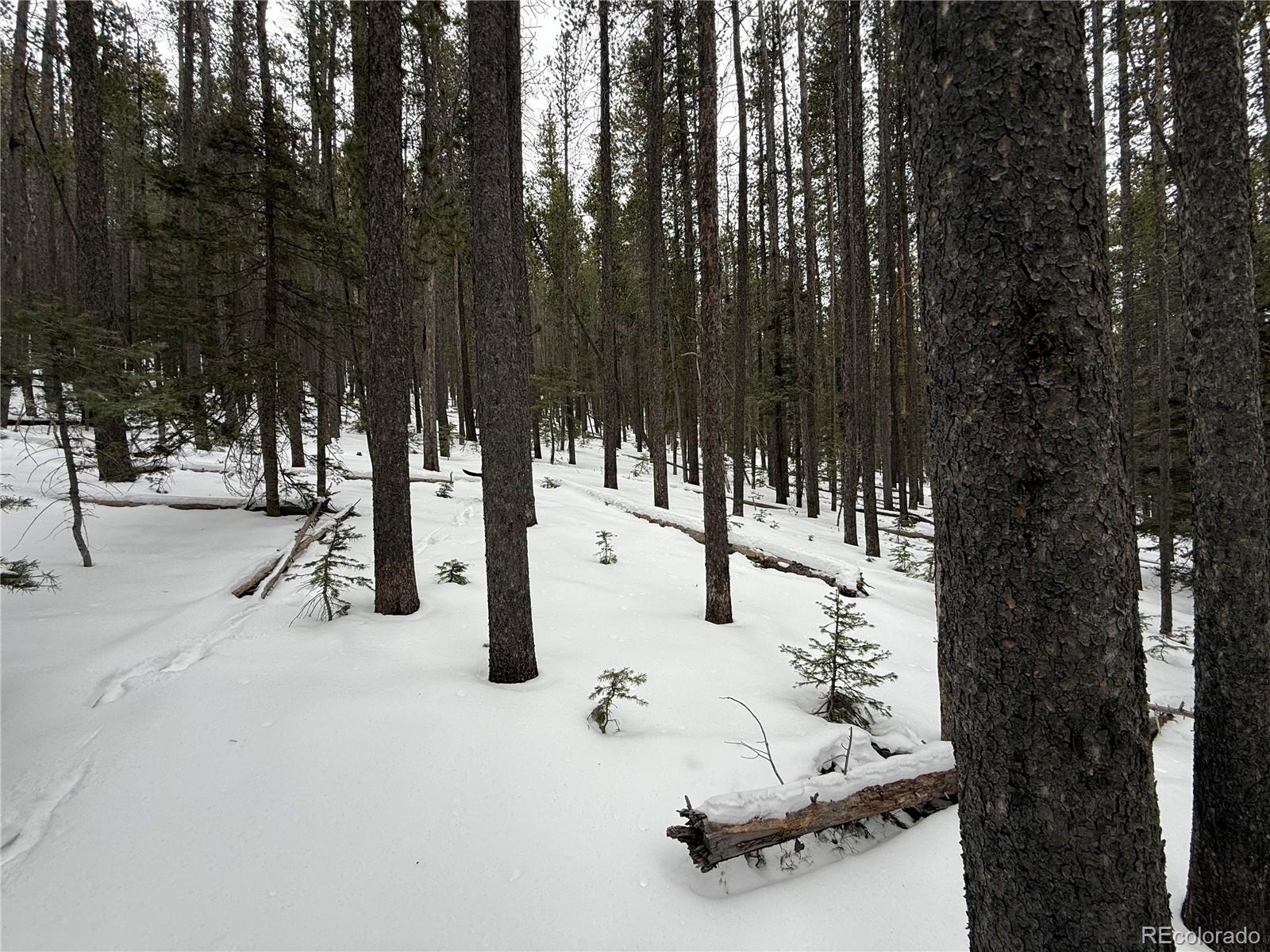 Lot 2805 Moir Drive Fort Garland CO 81133