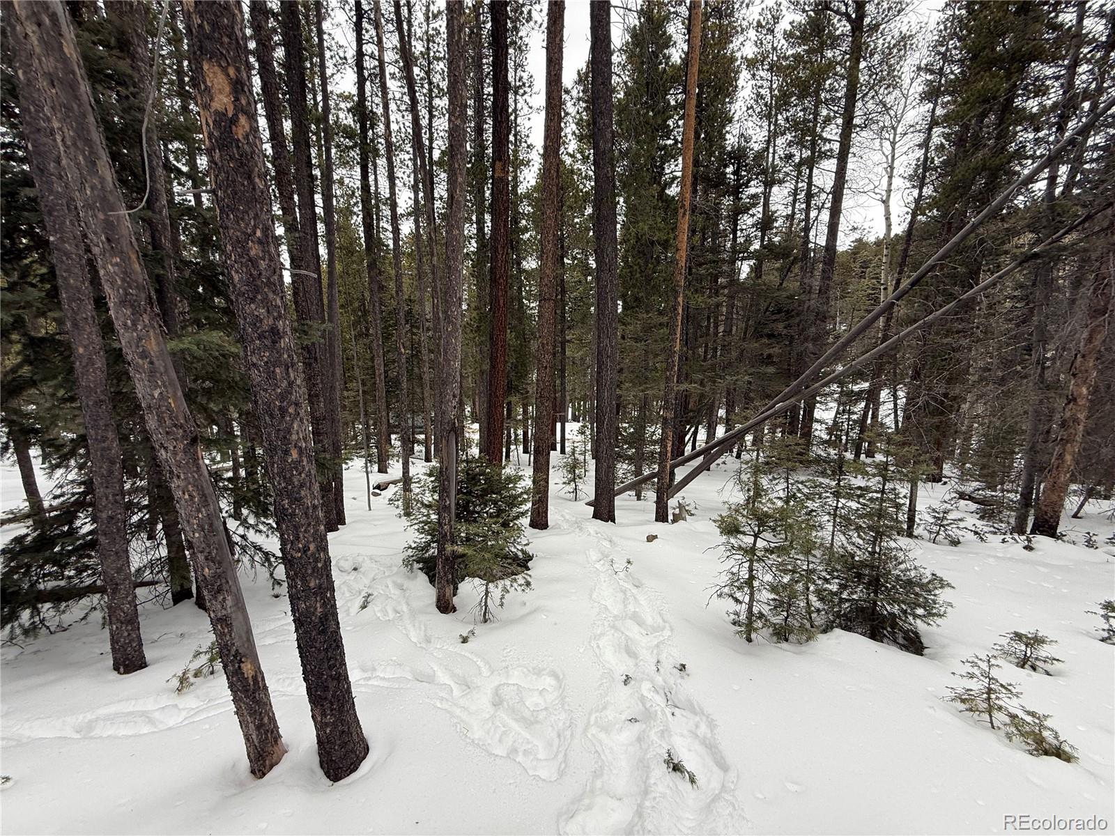Lot 2805 Moir Drive Fort Garland CO 81133
