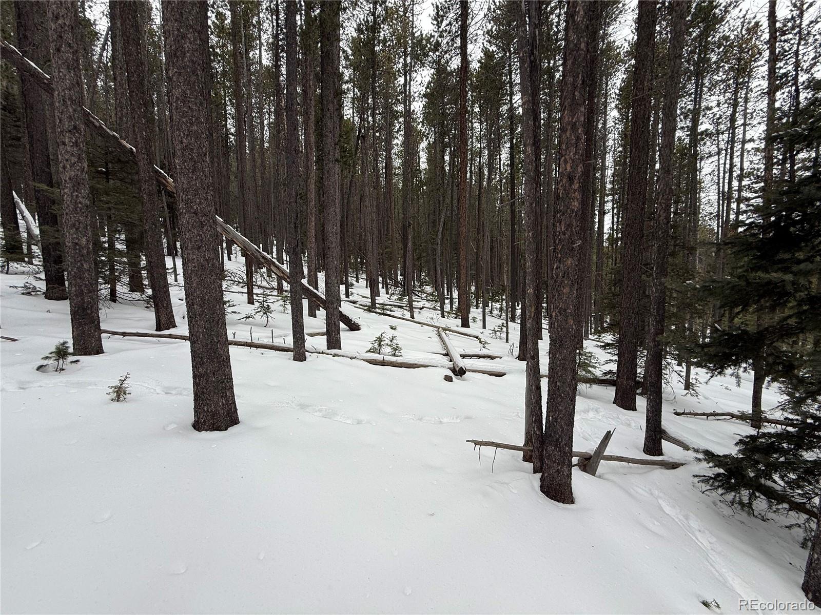 Lot 2805 Moir Drive Fort Garland CO 81133