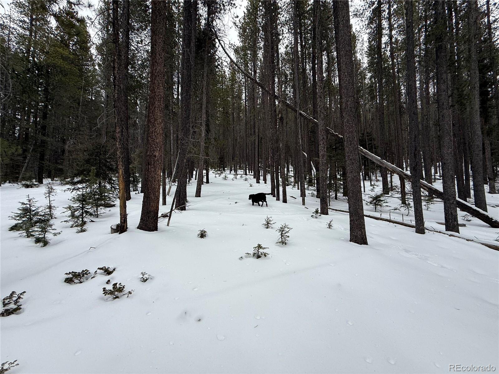 Lot 2805 Moir Drive Fort Garland CO 81133
