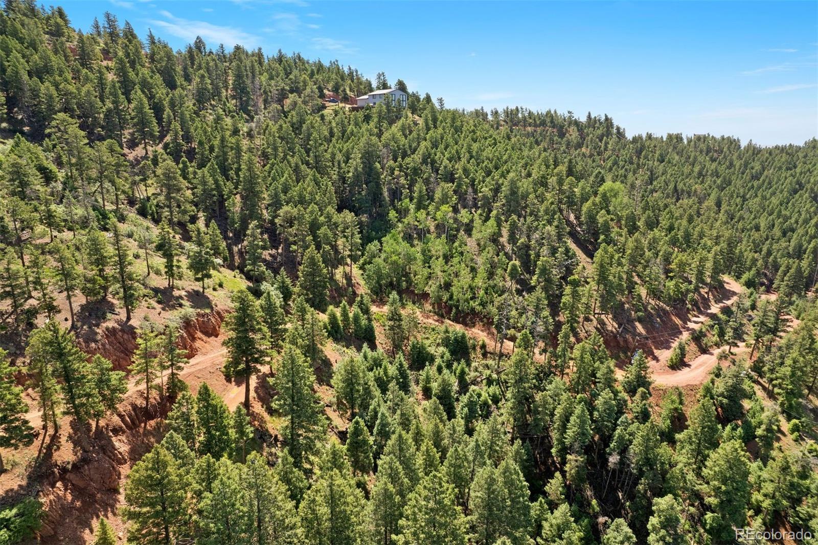 13294 N Firedog Way Larkspur CO 80118