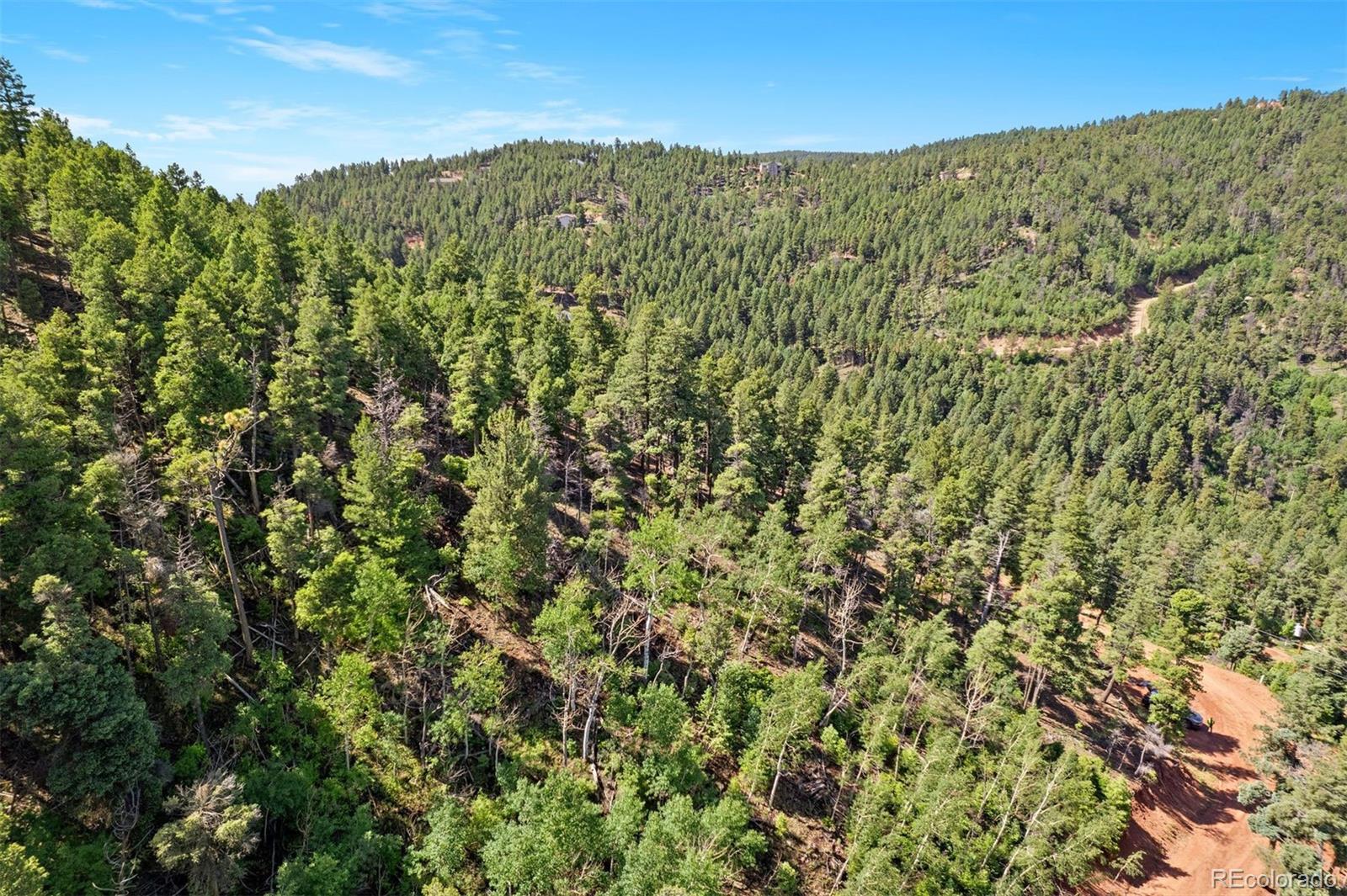 13294 N Firedog Way Larkspur CO 80118