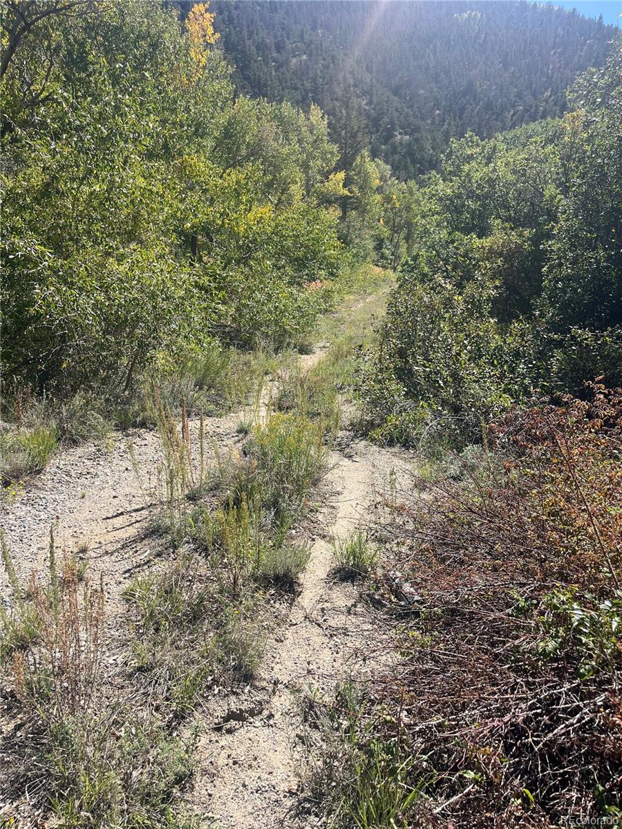 Highway 285 South Poncha Springs CO 81242