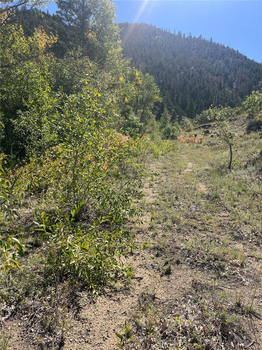 Highway 285 South Poncha Springs CO 81242