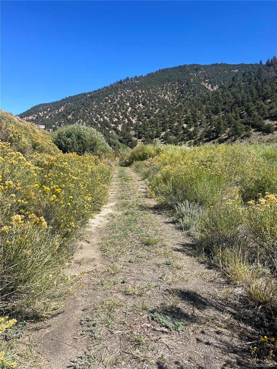 Highway 285 South Poncha Springs CO 81242