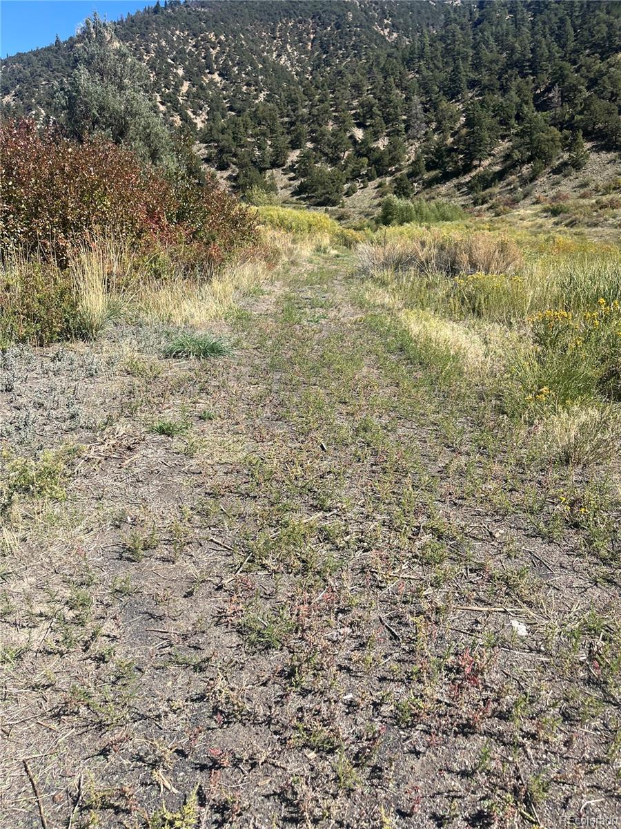 Highway 285 South Poncha Springs CO 81242
