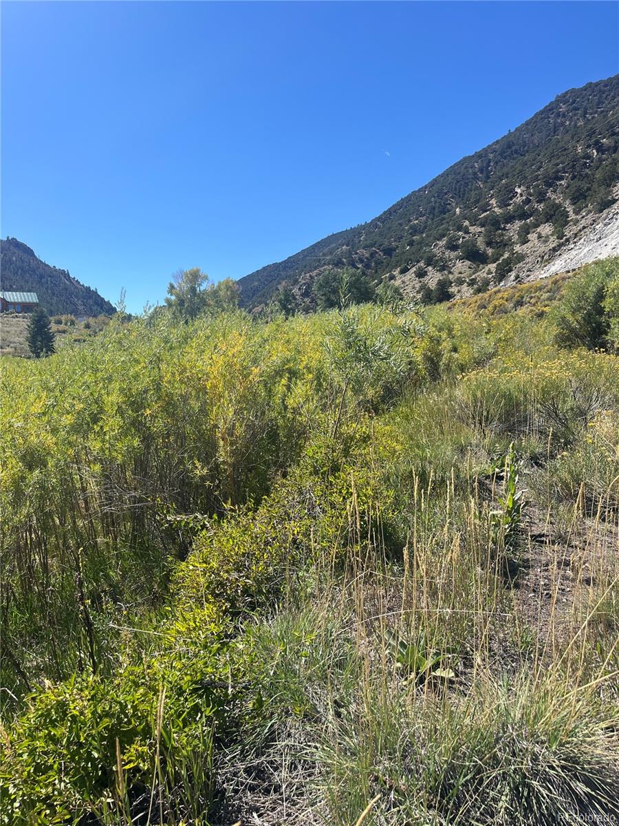 Highway 285 South Poncha Springs CO 81242