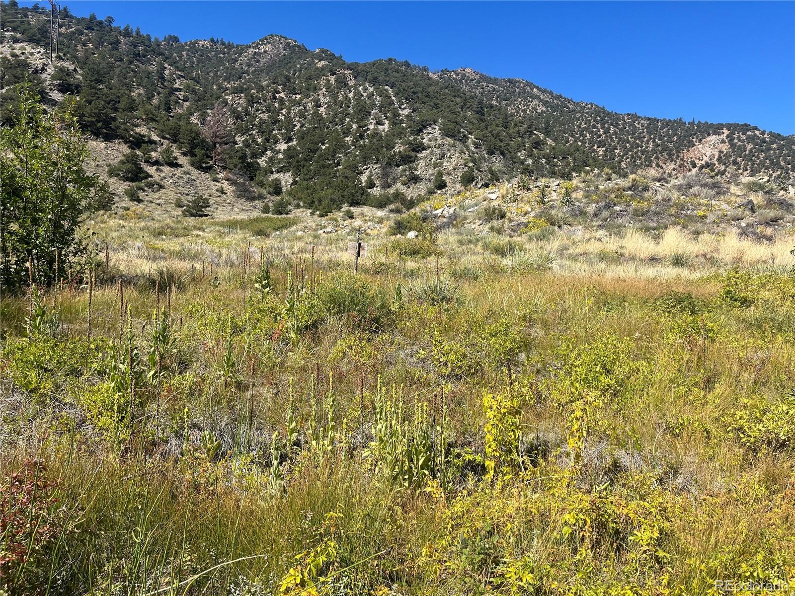 Highway 285 South Poncha Springs CO 81242