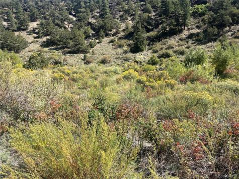 Highway 285 South Poncha Springs CO 81242
