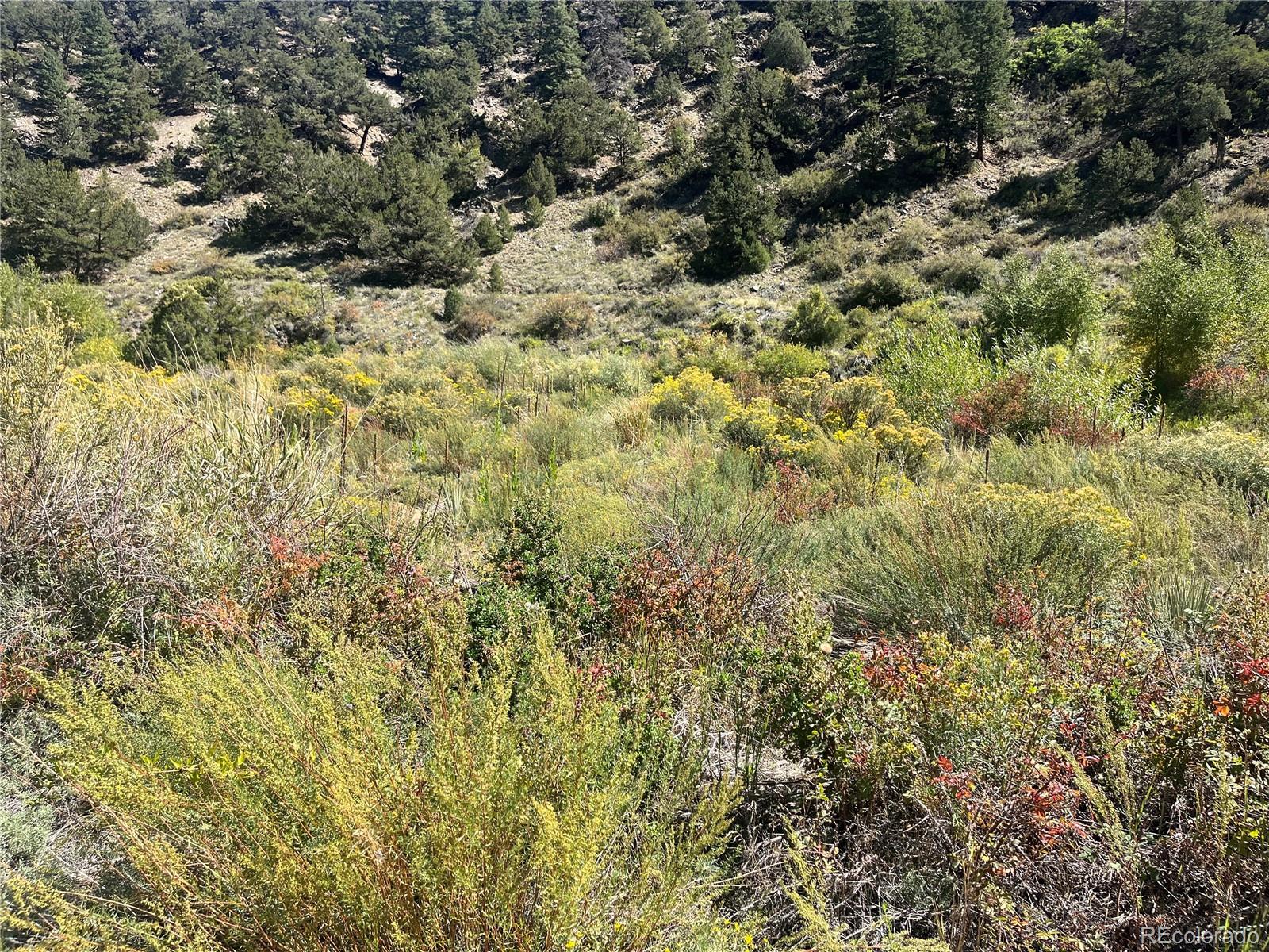 Highway 285 South Poncha Springs CO 81242