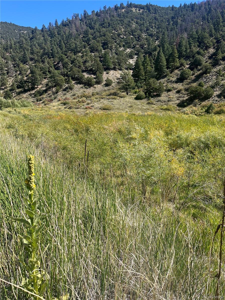 Highway 285 South Poncha Springs CO 81242
