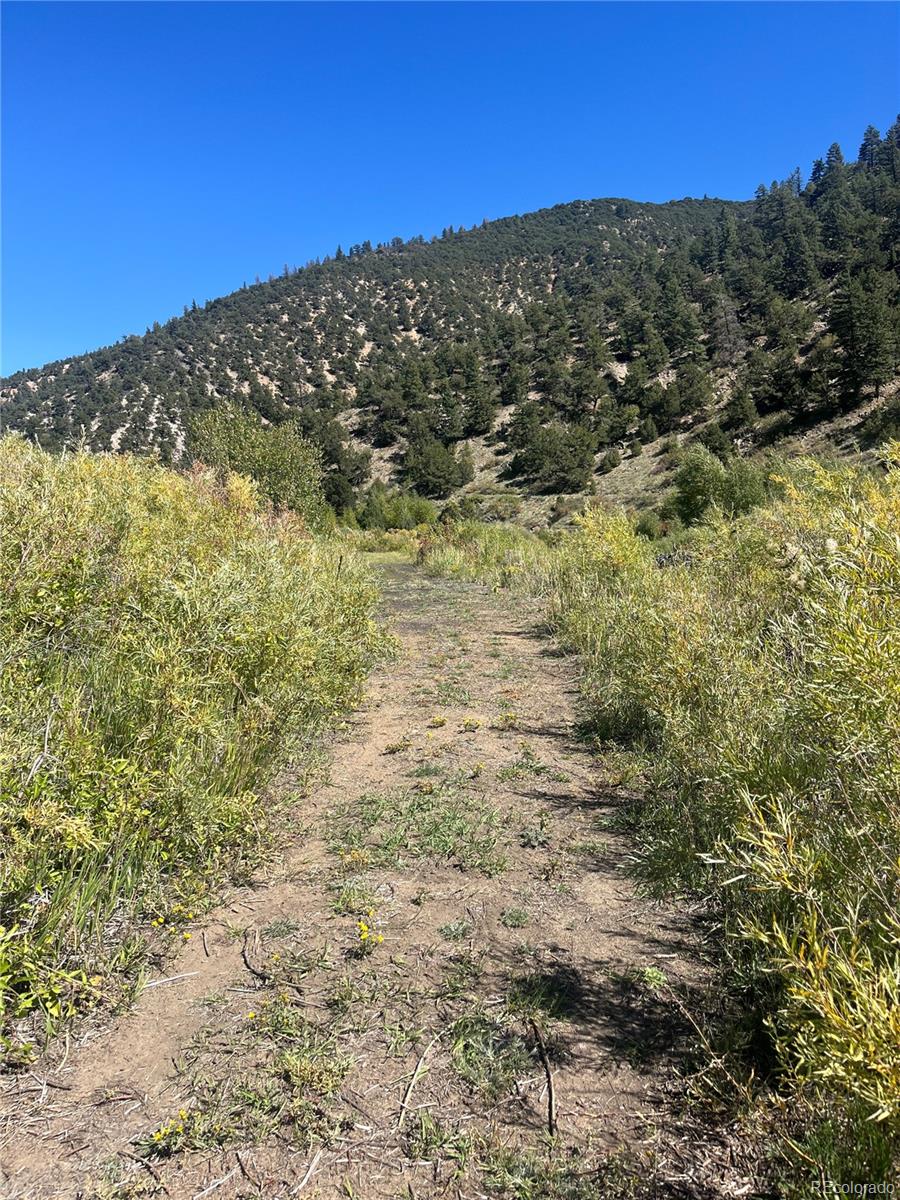 Highway 285 South Poncha Springs CO 81242