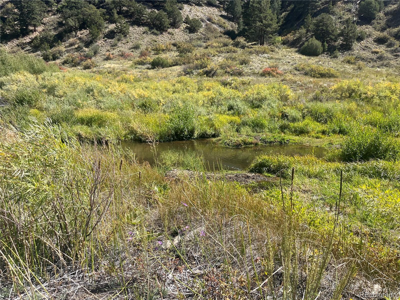 Highway 285 South Poncha Springs CO 81242