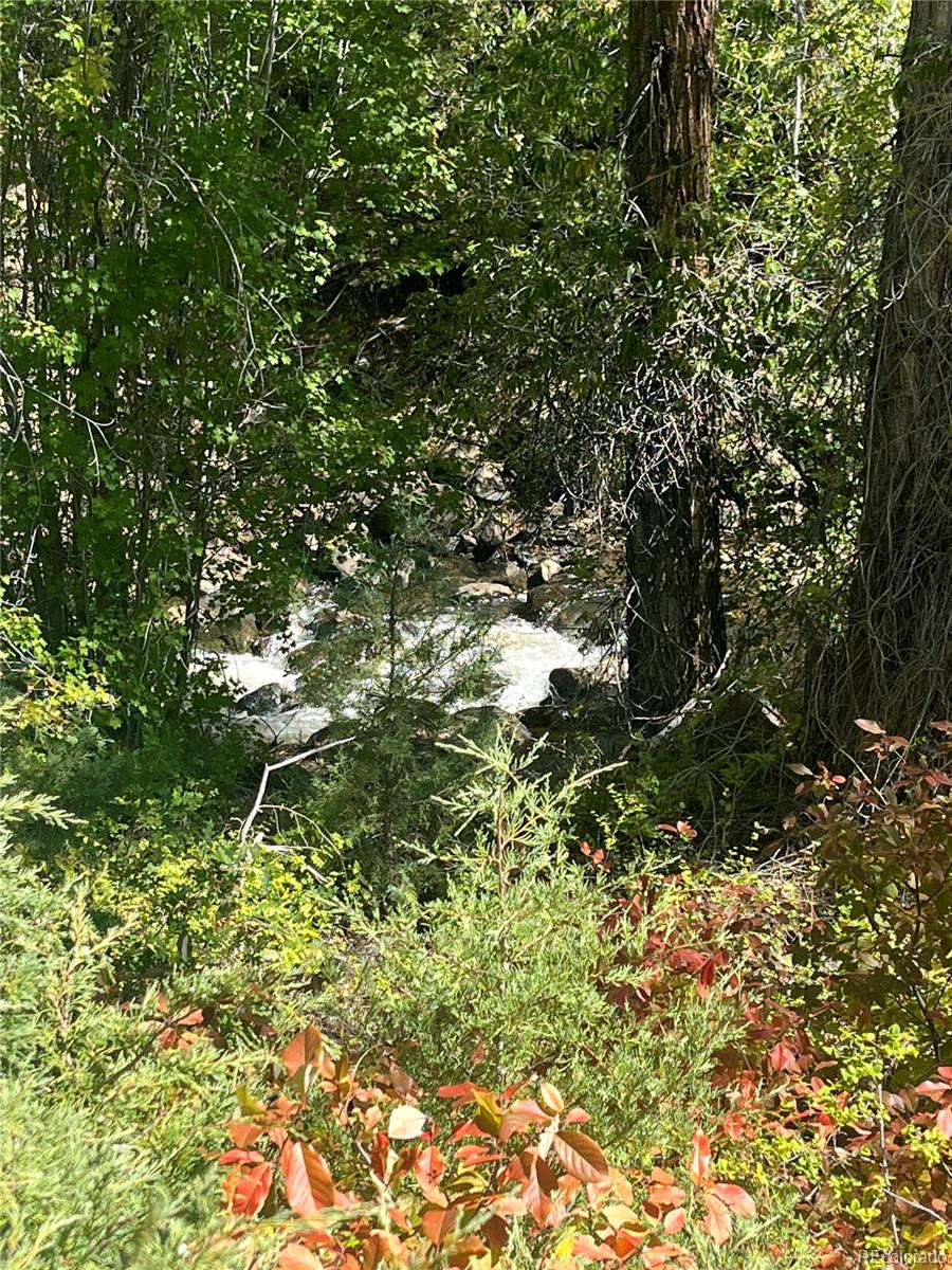 Highway 285 South Poncha Springs CO 81242