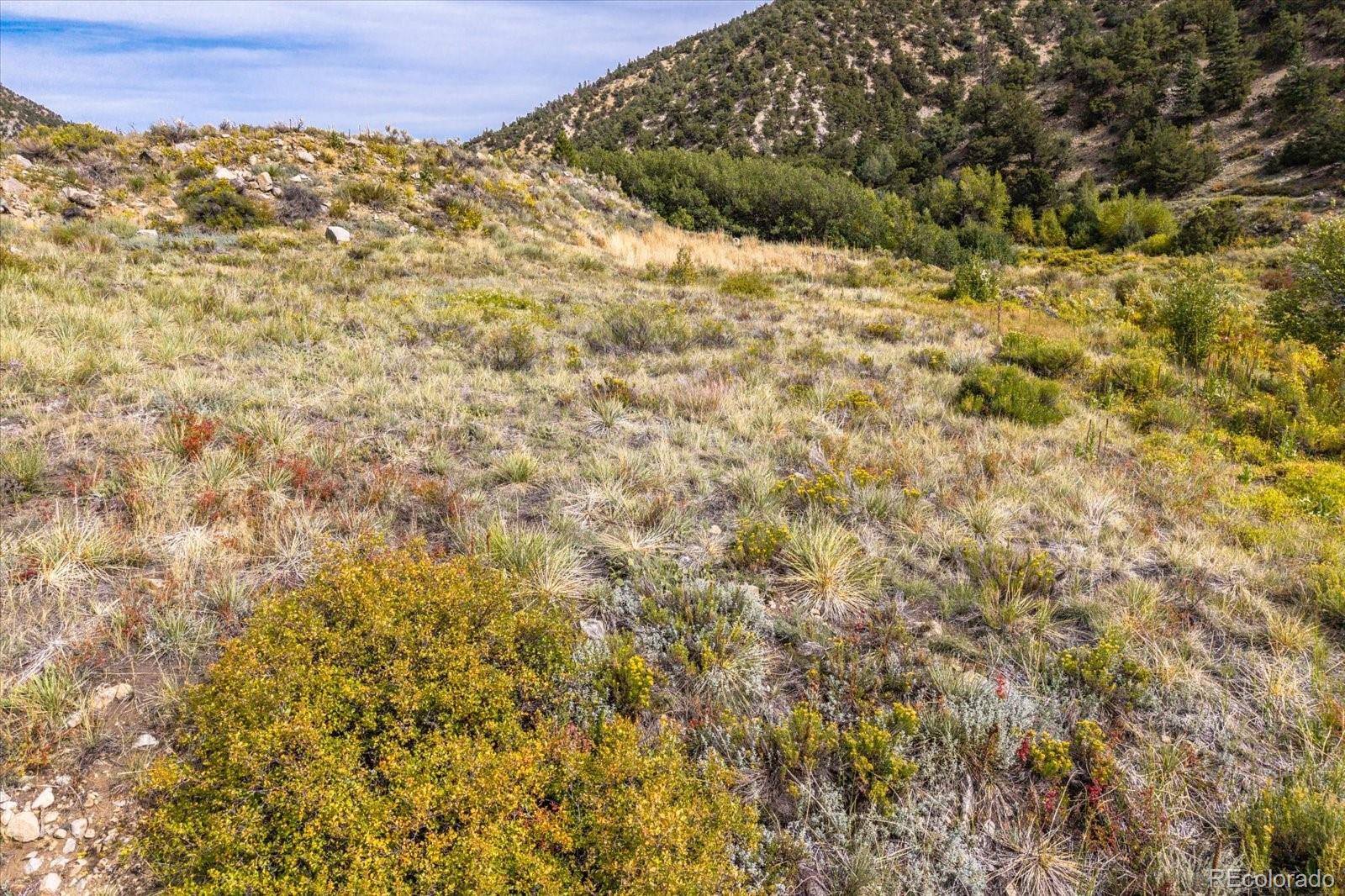 Highway 285 South Poncha Springs CO 81242