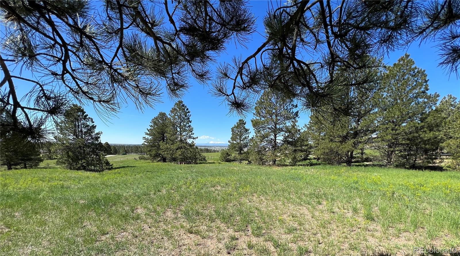 10290 Democrat Road Parker CO 80134