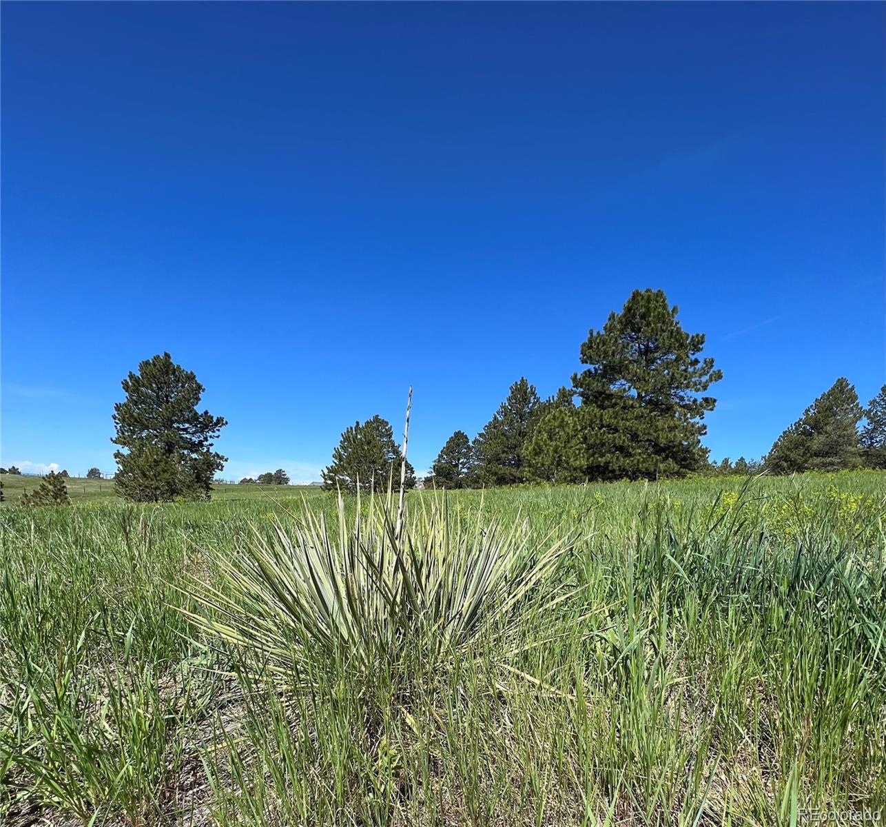 10290 Democrat Road Parker CO 80134