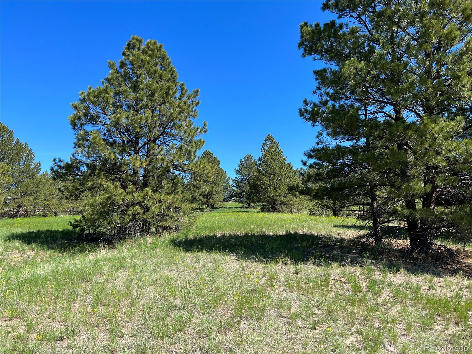 10290 Democrat Road Parker CO 80134