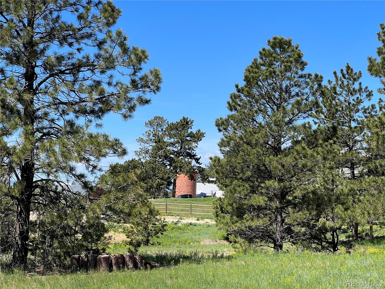 10290 Democrat Road Parker CO 80134