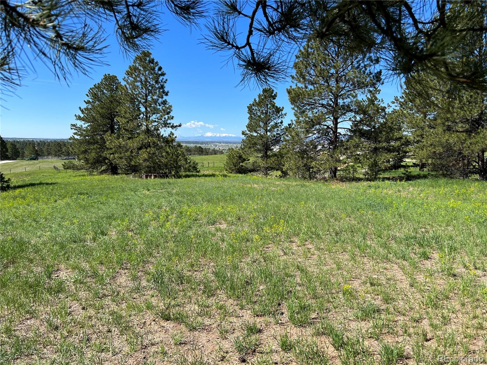 10290 Democrat Road Parker CO 80134
