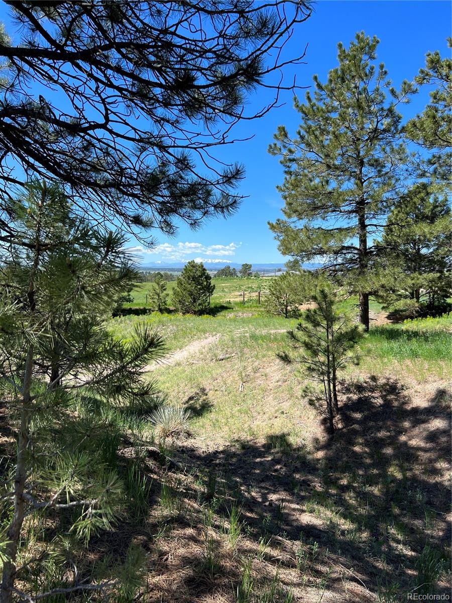 10290 Democrat Road Parker CO 80134