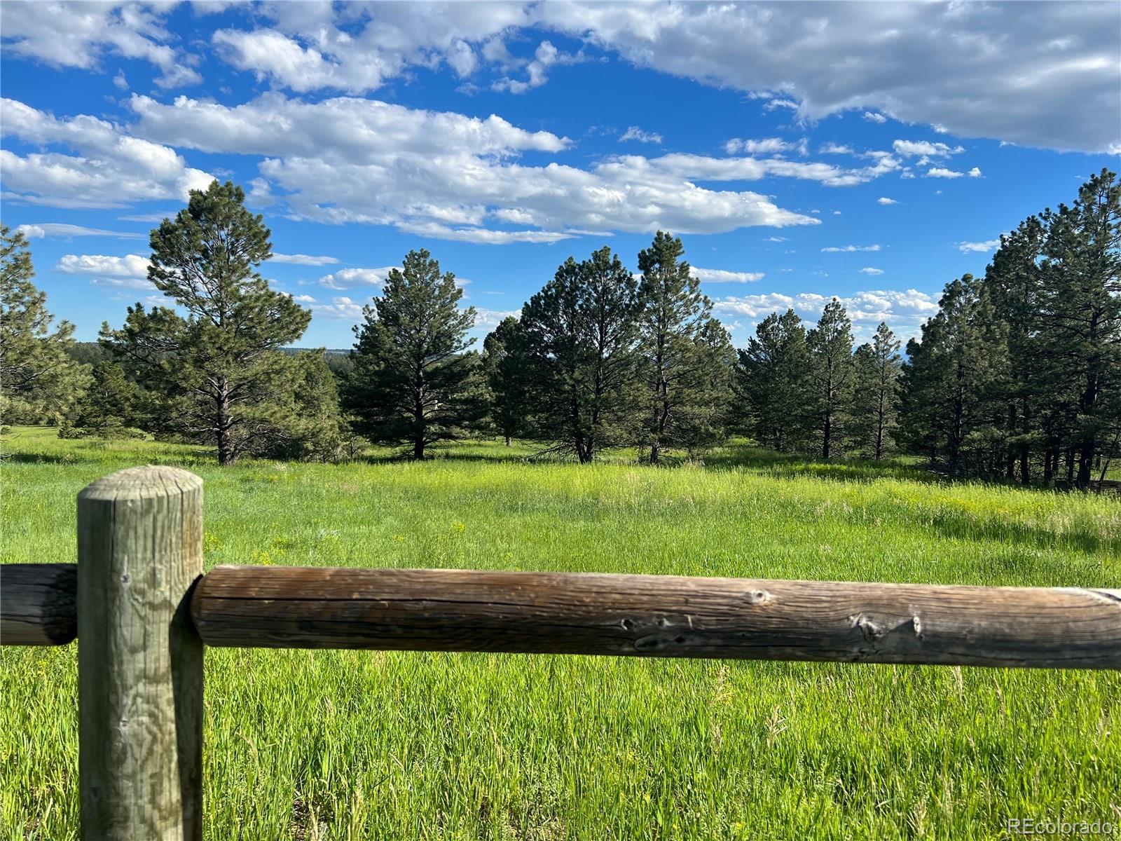10290 Democrat Road Parker CO 80134